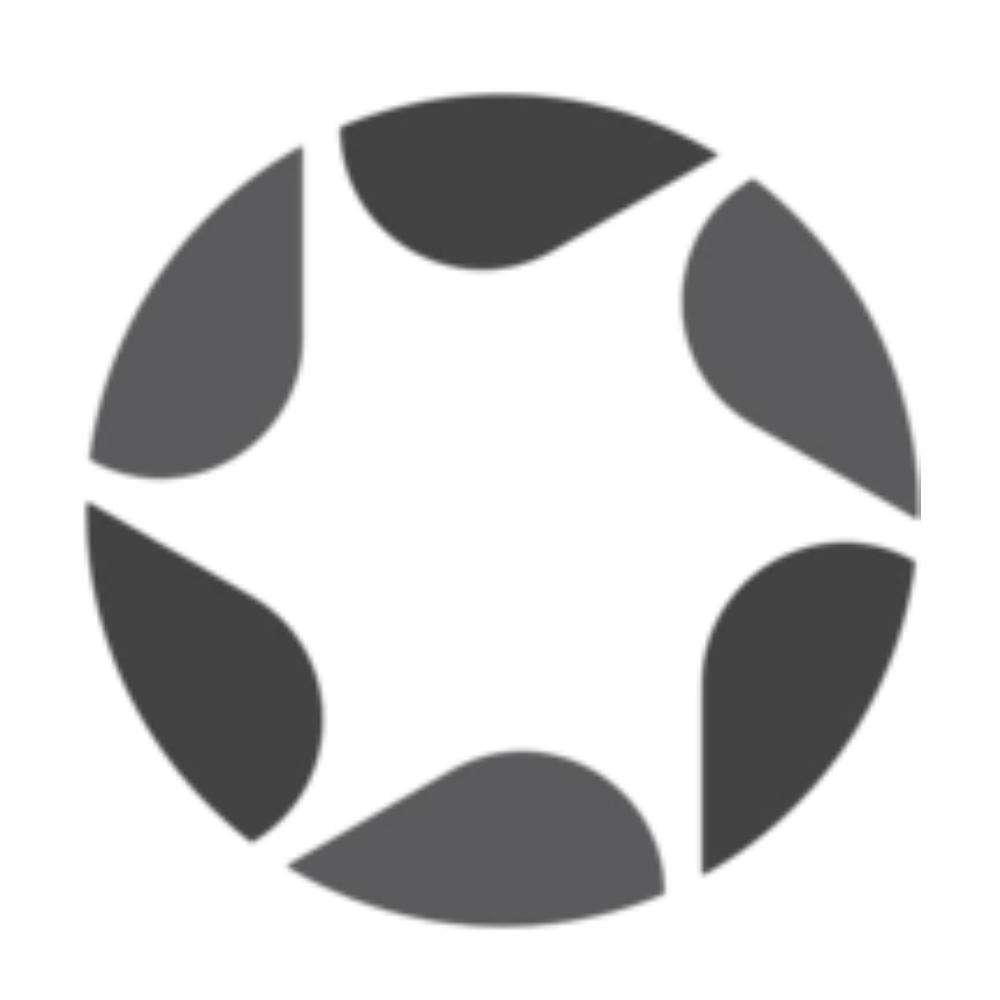 Colorless Icon